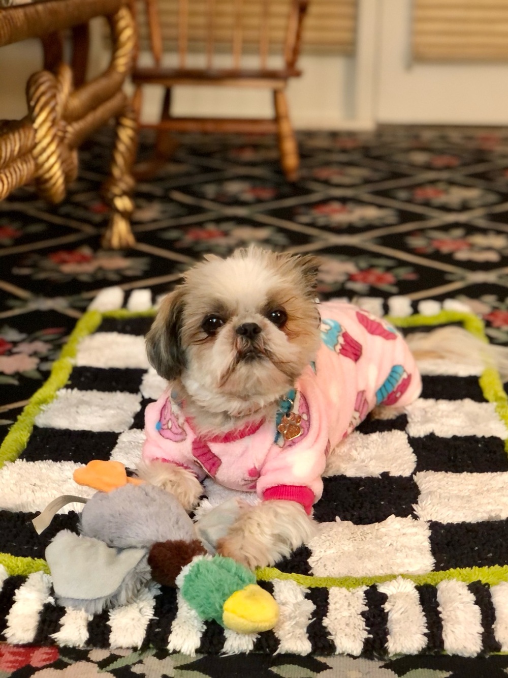 Plush Pink Cupcake Fleece Dog Onesie - Cozy Pet Pajamas
